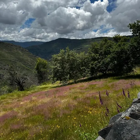 A Barreira -lar Da Cima- 아파트