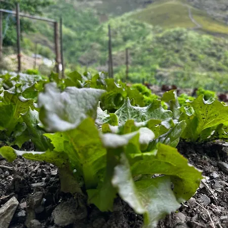 아파트 A Barreira -lar Da Cima-