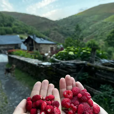 A Barreira -lar Da Cima-