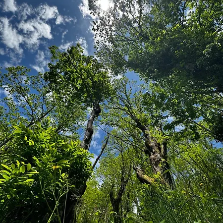 Apartment A Barreira -lar Da Cima- Folgoso do Courel