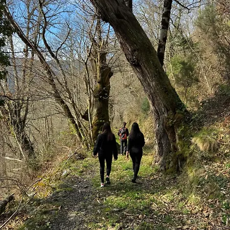 A Barreira -lar Da Cima-