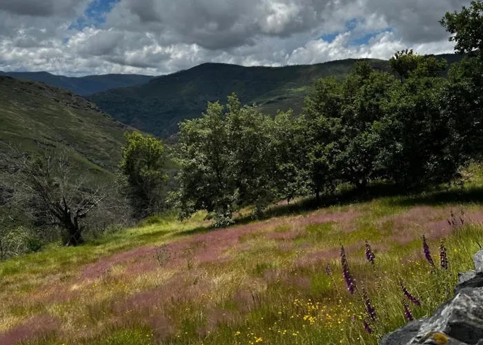 A Barreira -lar Da Cima- דירה