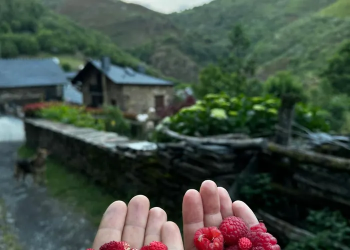 A Barreira -lar Da Cima-