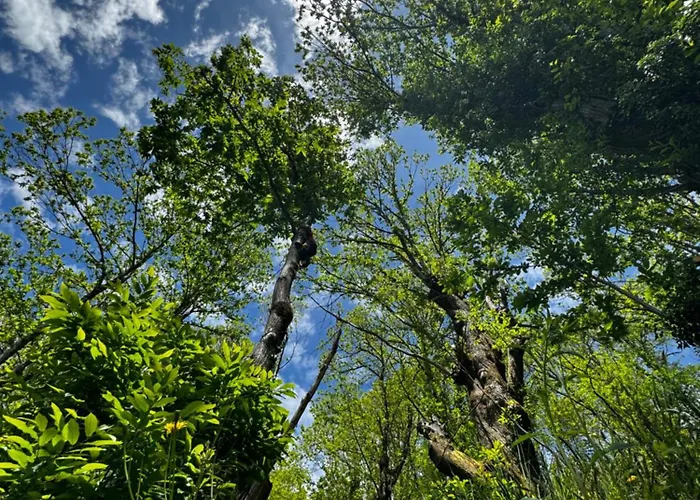 公寓 A Barreira -lar Da Cima- Folgoso do Courel